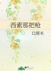 西索那把枪