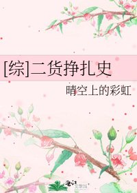 [综]二货挣扎史