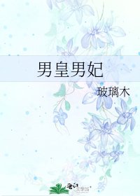 《男皇男妃》