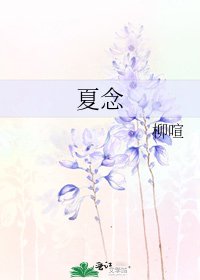 《夏念》