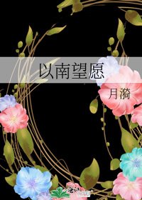 《以南望愿》