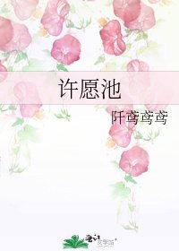 《许愿池》