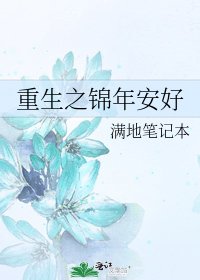 《重生之锦年安好》