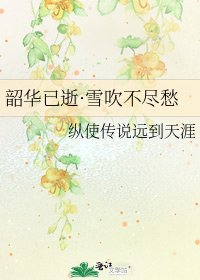 《韶华已逝·雪吹不尽愁》