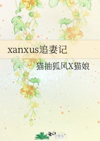 《xanxus追妻记》