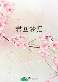 《君回梦归》