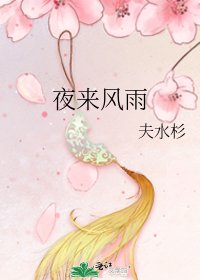 《夜来风雨》
