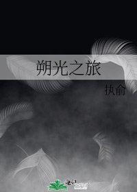 《朔光之旅》