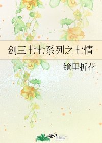 《剑三七七系列之七情》