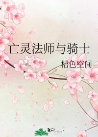 《亡灵法师与骑士》