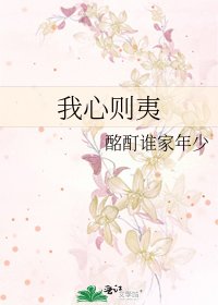 《我心则夷》