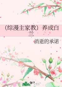 《(综漫主家角)养成佰兰》