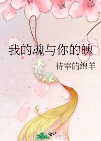 《我的魂与你的魄》