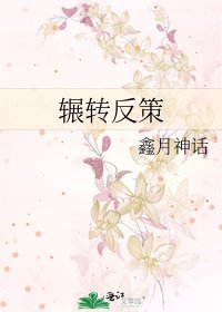 《辗转反策》
