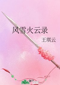 《风雪火云录》