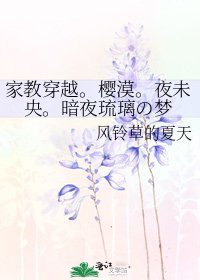 《家教穿越。樱漠。夜未央。暗夜琉璃の梦》