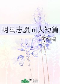 《明星志愿同人短篇》