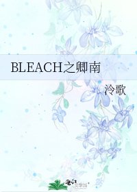 《BLEACH之卿南》