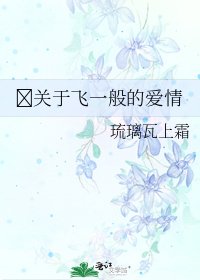 关于飞一般的爱情