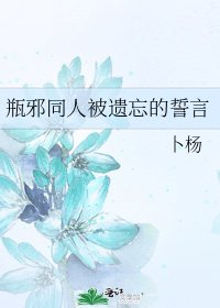 《瓶邪同人被遗忘的誓言》