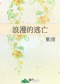 《浪漫的逃亡》