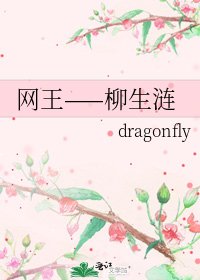 《网王——柳生涟》
