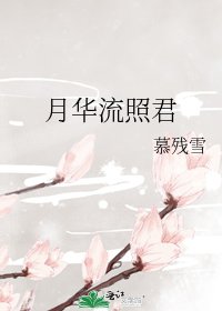 《月华流照君》