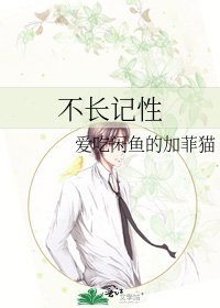 《不长记性》