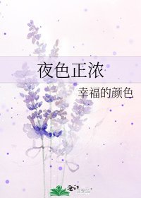 《夜终正浓》
