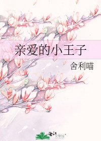 《亲爱的小王子》