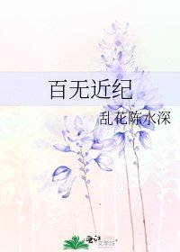 《百无近纪》
