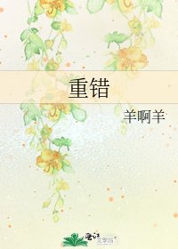 《重错》