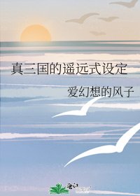 《真三国的遥远式设定》