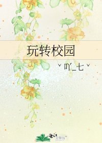 《豌转校园》