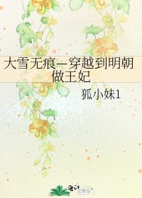 《大雪无痕—穿越到明朝做王妃》