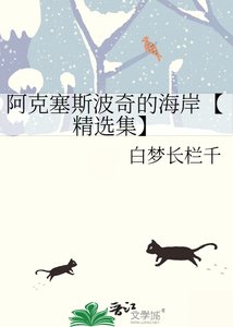 《阿克塞斯波奇的海岸【精选集】》