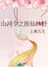 《山河令之医仙林轩》