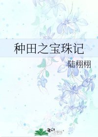 《种田之宝珠记》