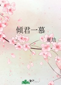 倾君一慕