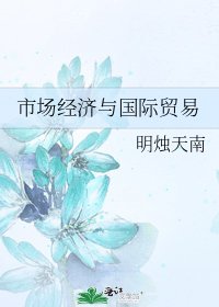 市场经济与国际贸易