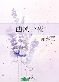 西风一夜