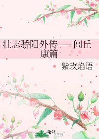 《壮志骄阳外传——闾丘康篇》