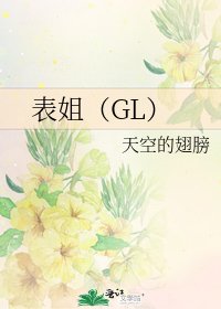 《表姐(GL)》