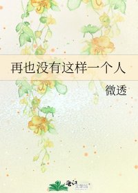《再也没有这样一个人》