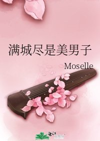 《满城尽是美男子》