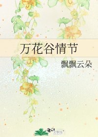 《万花谷情节》