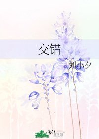 《较错》