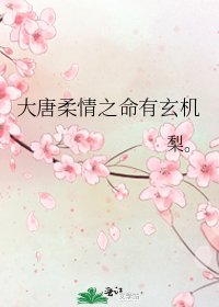 《大唐柔情之命有玄机》