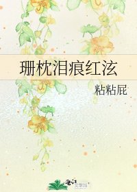 《珊枕泪痕鸿泫》