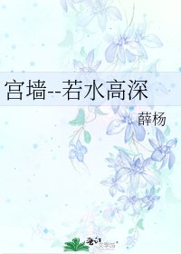 宫墙--若水高深